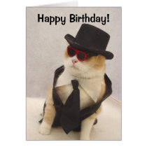 Joyeux anniversaire, chat frais ! cartes