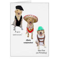 Joyeux anniversaire de chien drôle dans quatre lan cartes