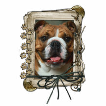 Joyeux anniversaire - pattes en pierre - bouledogu photo sculpture