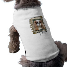 Joyeux anniversaire - pattes en pierre - cavalier vêtements pour chien