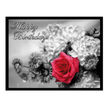 Joyeux anniversaire ! Rose rouge avec noir et blan Carte Postale