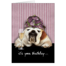 joyeux anniversaire, vieillissant, humour, chien cartes