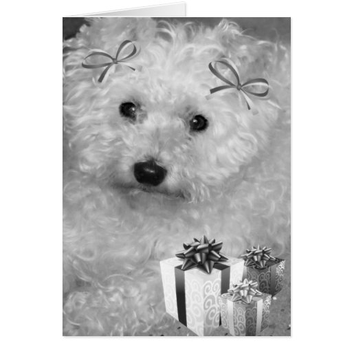 JOYEUX KISSMAS CARTES DE VŒUX