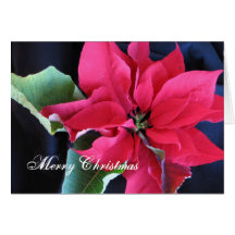Joyeux Noël Cartes De Vœux