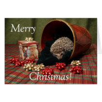 Joyeux Noël de hérisson cartes