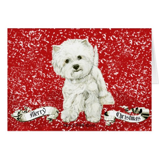 joyeux_noel_de_westie_carte_de_voeux-r51