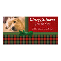 "Joyeux Noël du chien ! " Photocarte Customisée