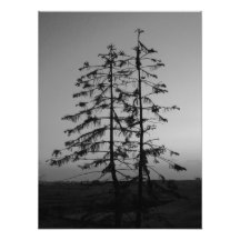 Jumeaux par des poivrons de Leslie Photos Sur Toile
