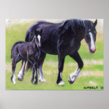 Jument de Clydesdale et portrait de cheval de poul Posters