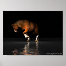 Jument de nuit posters