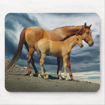 Jument espagnole de mustang tapis de souris