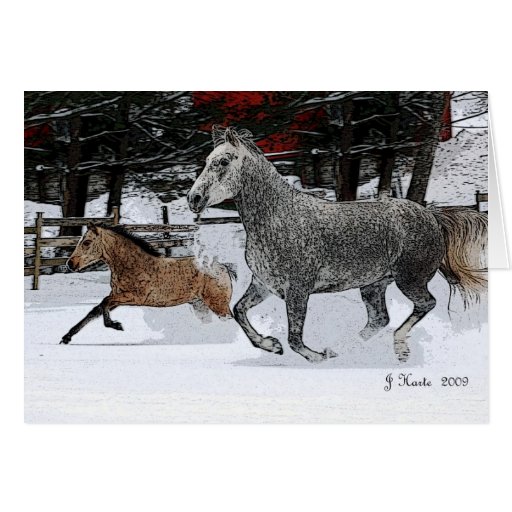 Jument et poulain fonctionnant dans la neige carte de vœux