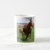 Jument et poulain tasse à café