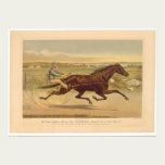 Jument grande Sunol (0652A) de trot de la Californ posters