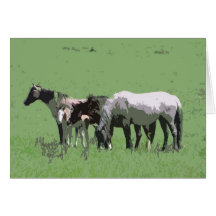 Juments de mustang et poulains, écart-type carte