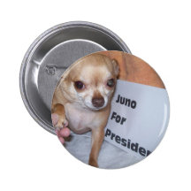 Juno pour le président pin's