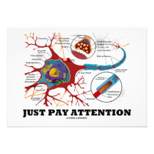 Juste attention de salaire (neurone/synapse) faire-parts