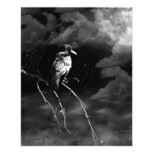 Juste des autres mille de clair de lune photo sur toile
