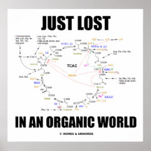 Juste perdu dans un monde organique (cycle de Kreb Affiches