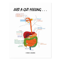 Juste un sentiment d'intestin… (Humour d'appareil  Carte Postale