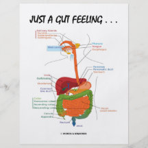 Juste un sentiment d'intestin… (Humour d'appareil  Tract Customisé