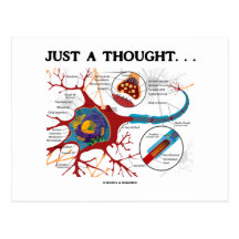 Juste une pensée… (Neurone/synapse) Cartes Postales