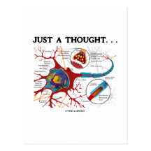 Juste une pensée… (Neurone/synapse) Cartes Postales