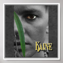 kaine posters