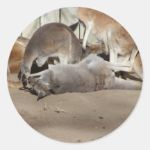 Kangourou de sommeil adhésif