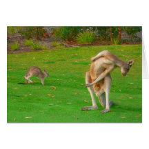 kangourou et joey carte de vœux