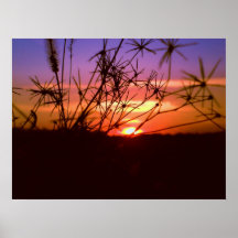 Kansas Sunset Poster