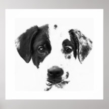 Karma Posters