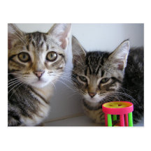 Katie et Karl Carte Postale