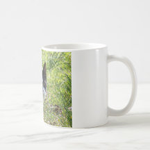 katt de minou tasses