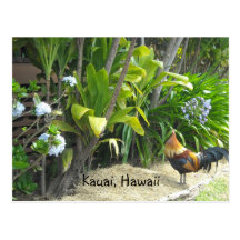 Kauai, Hawaï Carte Postale