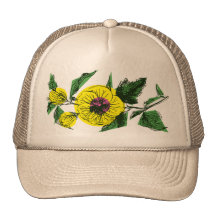 KETMIE CASQUETTES DE CAMIONNEUR