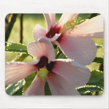 Ketmie grande en fleur tapis de souris