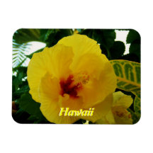 Ketmie jaune d'Hawaï Magnet En Vinyle