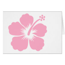 Ketmie rose F Cartes De Vœux