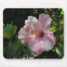 Ketmie rose Mousepad Tapis De Souris