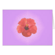 Ketmie rouge (arrière - plan lilas) carte de vœux