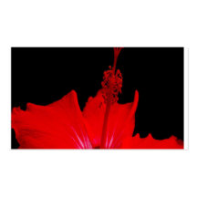 Ketmie rouge cartes de visite professionnelles