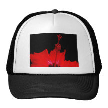 Ketmie rouge casquette de camionneur