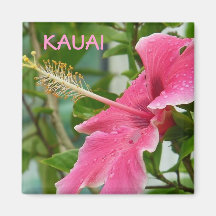 Ketmie tropicale hawaïenne de fleurs de Kauai Magnets Pour Réfrigérateur