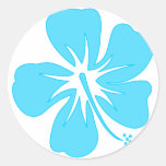 Ketmie turquoise adhésifs