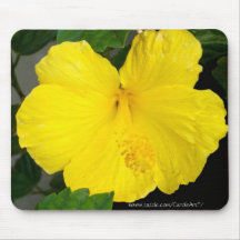 "Ketmies jaune citron " Tapis De Souris