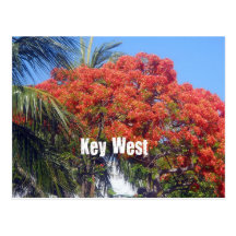 Key West Cartes Postales
