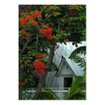 Key West couvrent le carte photo d'ATC Modèles De Cartes De Visite