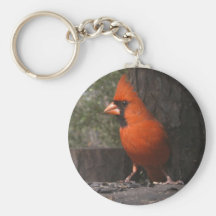 Keychain cardinal rouge porte-clé