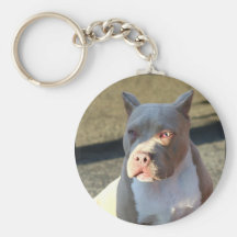 Keychain de chiot du Staffordshire Terrier américa Porte-clés